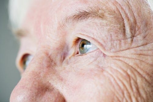 closeup-side-portrait-of-white-elderly-woman-39-s-2021-09-03-16-56-41-utc.jpg
